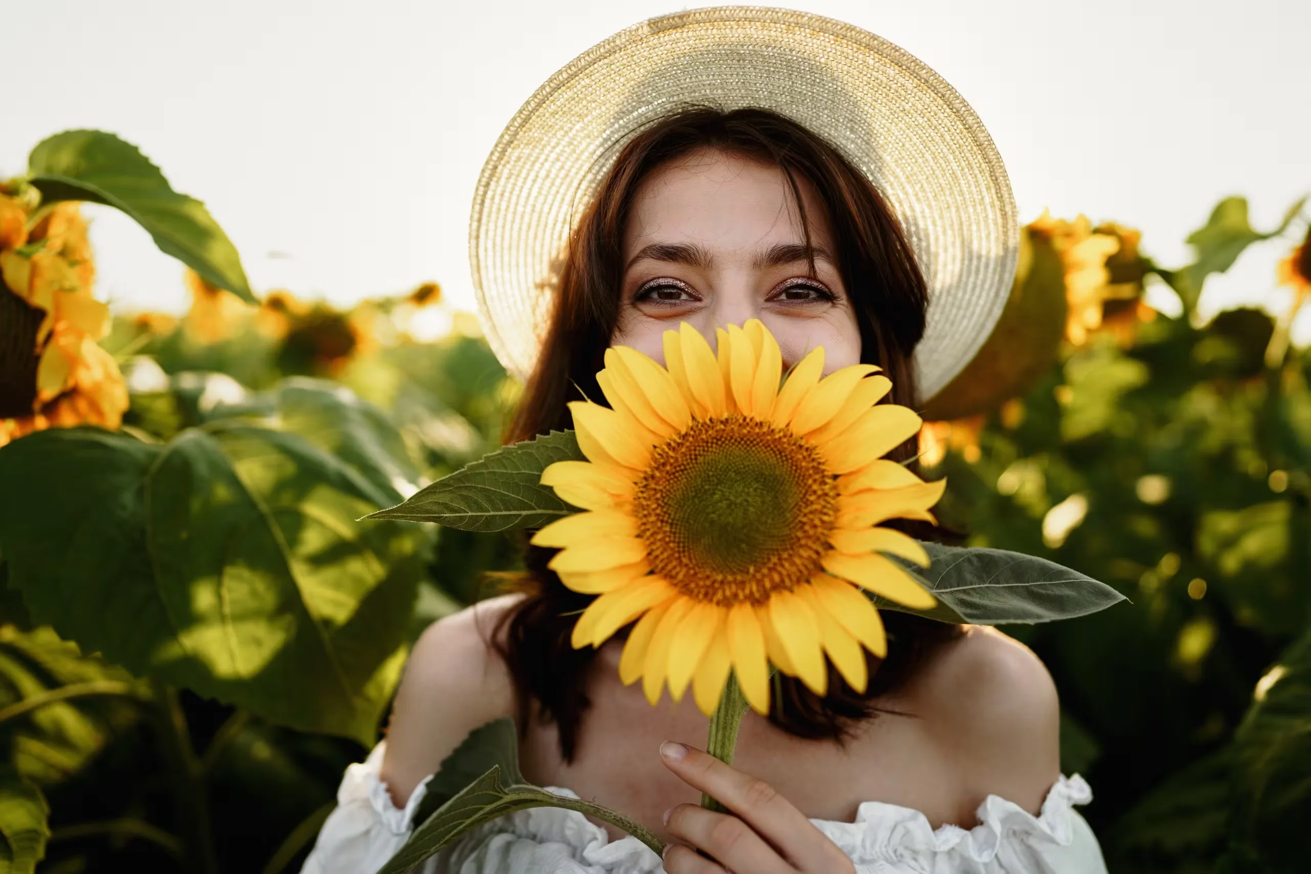 Sunflowers & Creativity Lessons from Nature
